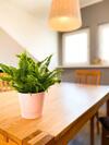 Apartamento Fewo Sulzer Siedlung Erfurt