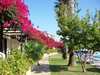 Hotel Mon Repos
