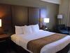Hotel Comfort Inn & Suites (.)