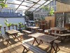 Hostal Worldtreck Dinner & Guesthouse Pise