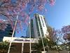 Hotel Novotel Brisbane