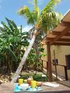Apartamento Ocean Shore