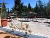 Bed & Breakfast Villa Sant'uberto Country Inn