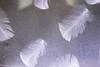Hotel Best Western H�tel Litt�raire Arthur Rimbaud