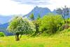 Agroturismo Finca Artienza
