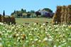 Agroturismo Agriturismo Il Fontanile