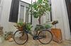 Palazzo De Donatis B&B