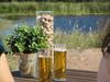 Agroturismo Casas De Mir�briga