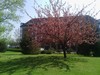 The Aquincum Hotel Budapest