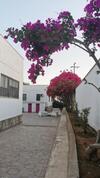 Bed & Breakfast Seccagrande Holiday Home