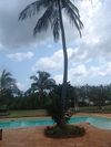 Hotel Villa Kiva