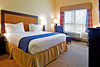Holiday Inn Express Hotel & Suites Riverport Richmond