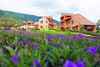 Apartamento Hotel La Casetta By Toscana Valley