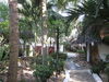 Hotel Scorpio Villas