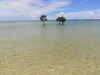 Hotel Microtel By Wyndham Puerto Princesa