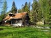 Lodge Baby Bear Cottage