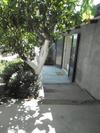 Bed & Breakfast L'albero Di Alberto