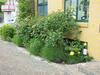 Hostal Pension Genat