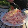 Albergue Lunedet Camping Caf� Restaurang Ab