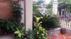 Hostal Terraza's House