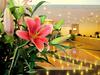 Sunway Hotel Shenzhen Airport