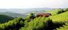 Bed & Breakfast Miaclara Relais