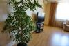 Apartment In Complex Korona On Knyazhyi Zaton 21
