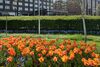 Hotel Danubius Regents Park