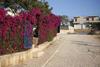Apartments Vila Ardi