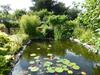 Bed & Breakfast Liongate House