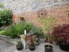 Bed & Breakfast Liongate House