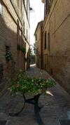 Montelupone Bed & Breakfast
