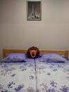Avino Apart - Hostel