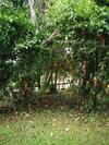 T�o Felix Eco Lodge