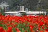 Hotel M�n Sant Benet