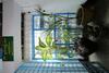 Hostal Chan Myae Thar Guest House