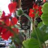 Hostal Icos Guesthouse 1 (female Only)