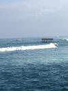 Breeze Villa