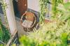Posada Jue Se Garden Theme Inn