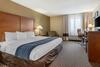 Hotel Comfort Inn South