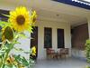 Hostal Anugerah Homestay