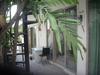 Hotel Gusti Homestay Kerobokan