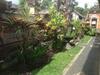 Suka's House Bed & Breakfast