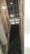 The Mesui Hotel Bukit Bintang