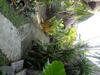 Bali Vidi Villas