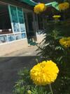 Hotel Aonang Village Resort