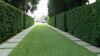 Apartamentos The Allamanda - Unit 1108
