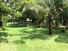 Hotel Cousin Resort