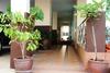 Posada Baan Vor. Sumongkol Service Apartment