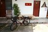 Hostal Neo Court